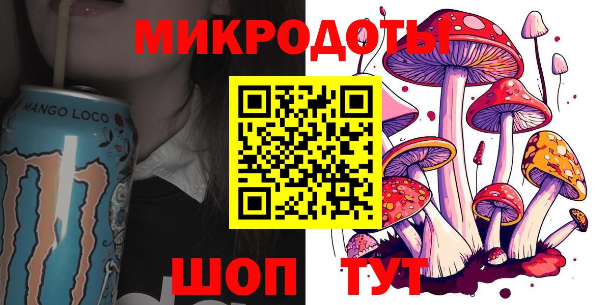 Псилоцибиновые грибы Psilocybe Белово