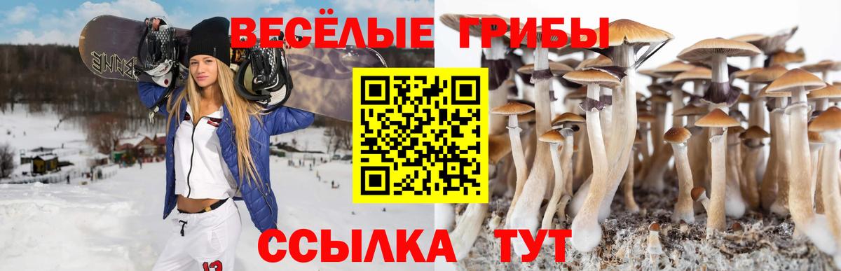 Белово  Галлюциногенные грибы мицелий  Вход с VPN 